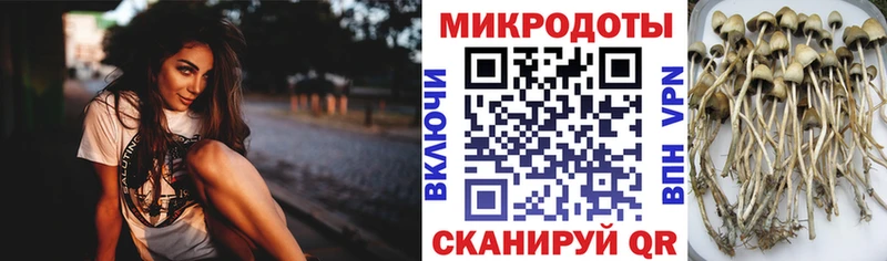 Галлюциногенные грибы Magic Shrooms  наркошоп  hydra ССЫЛКА  Спасск-Дальний 